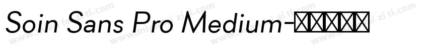 Soin Sans Pro Medium字体转换